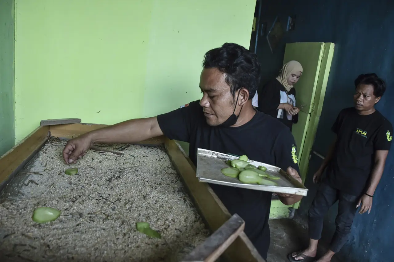 Produksi Makanan Crispy...