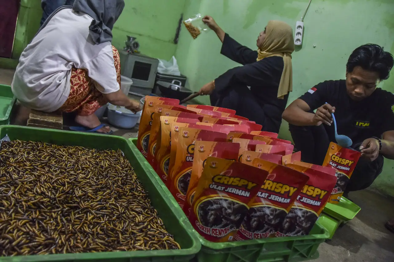 Produksi Makanan Crispy...