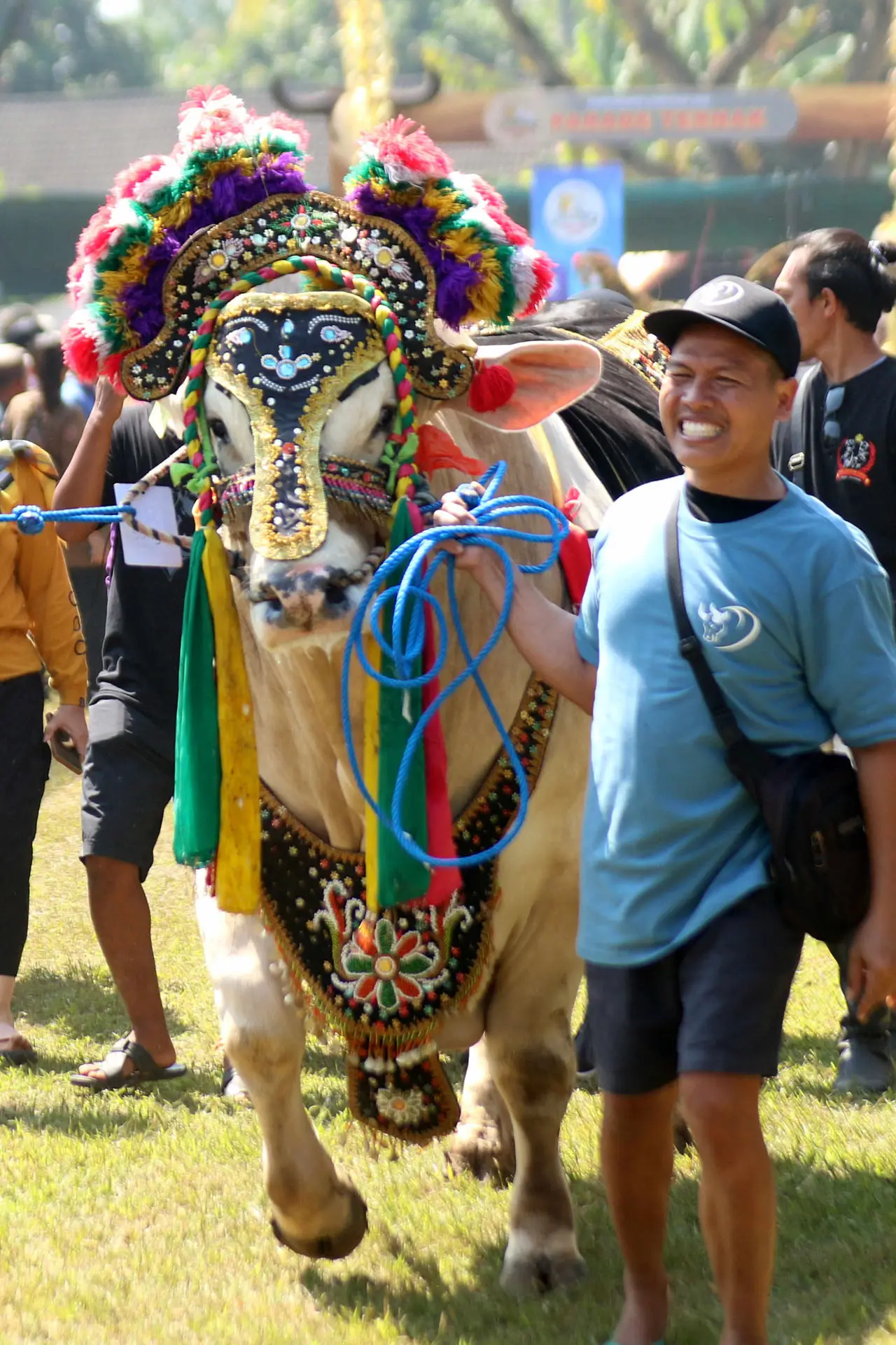 Unik, Lomba Hewan Kurban...