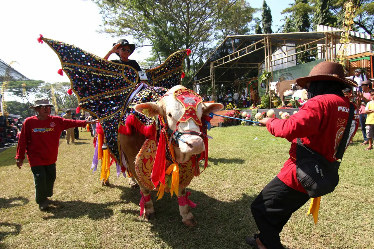 Unik, Lomba Hewan Kurban...