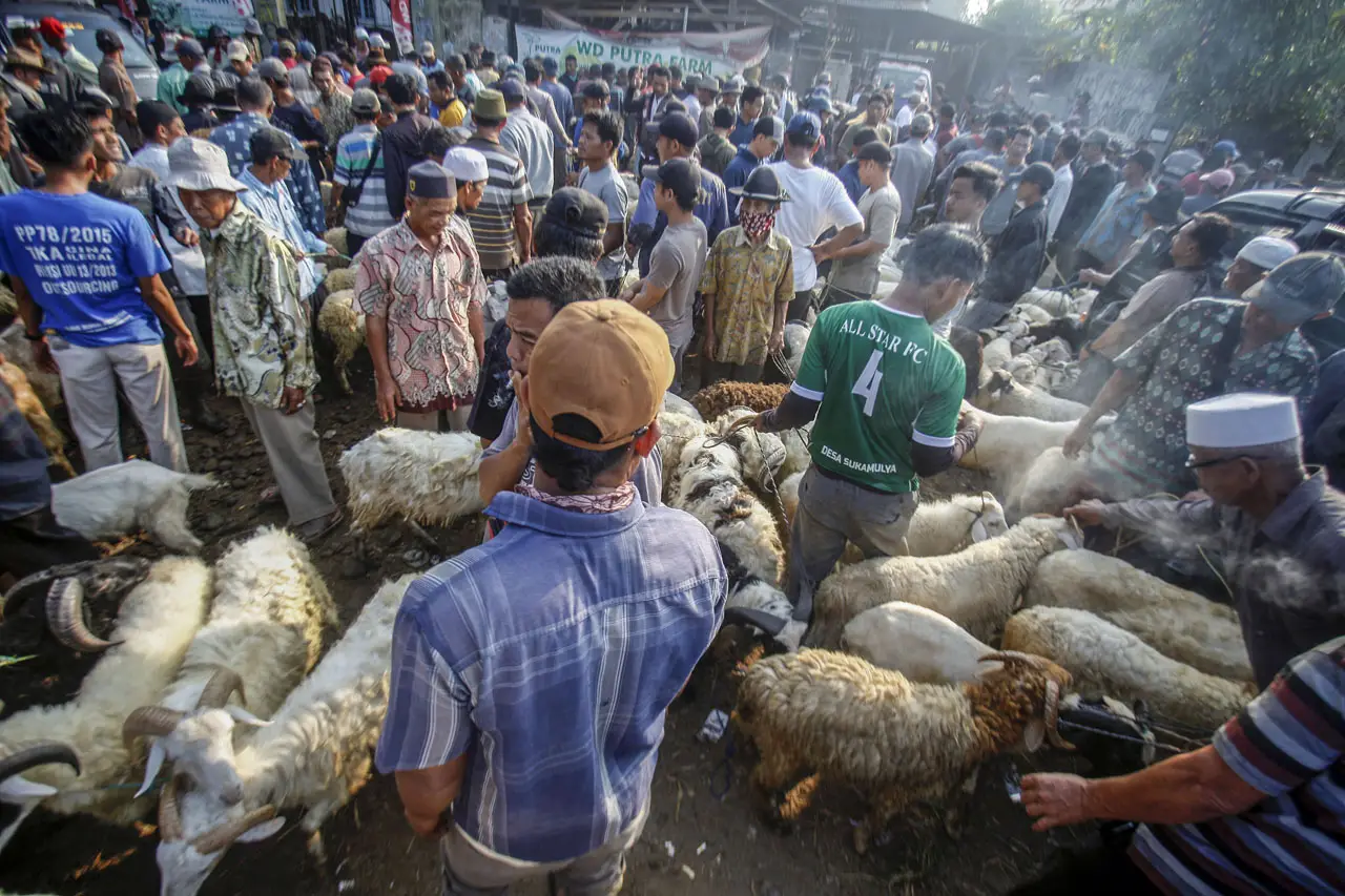 Keramaian Pasar Hewan...