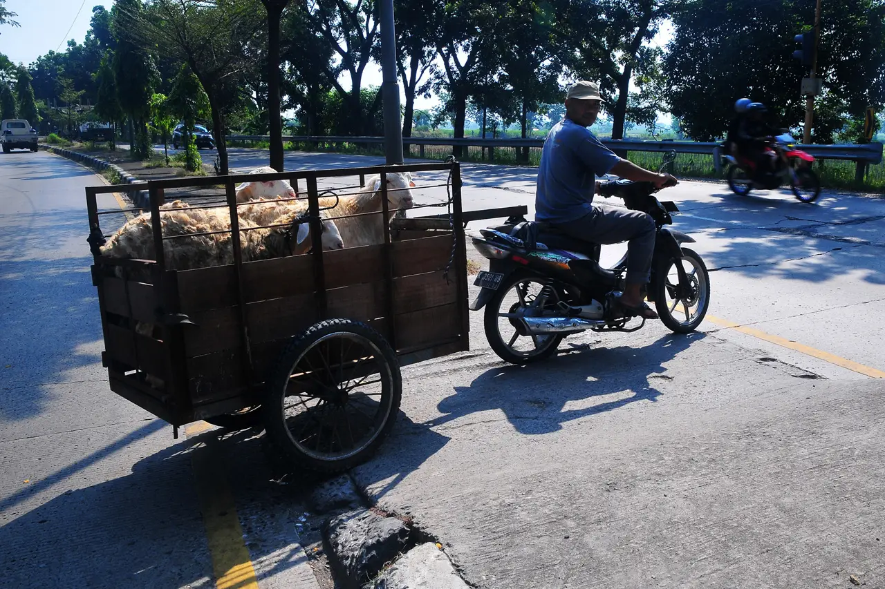 Laris Manis Jasa Ojek...