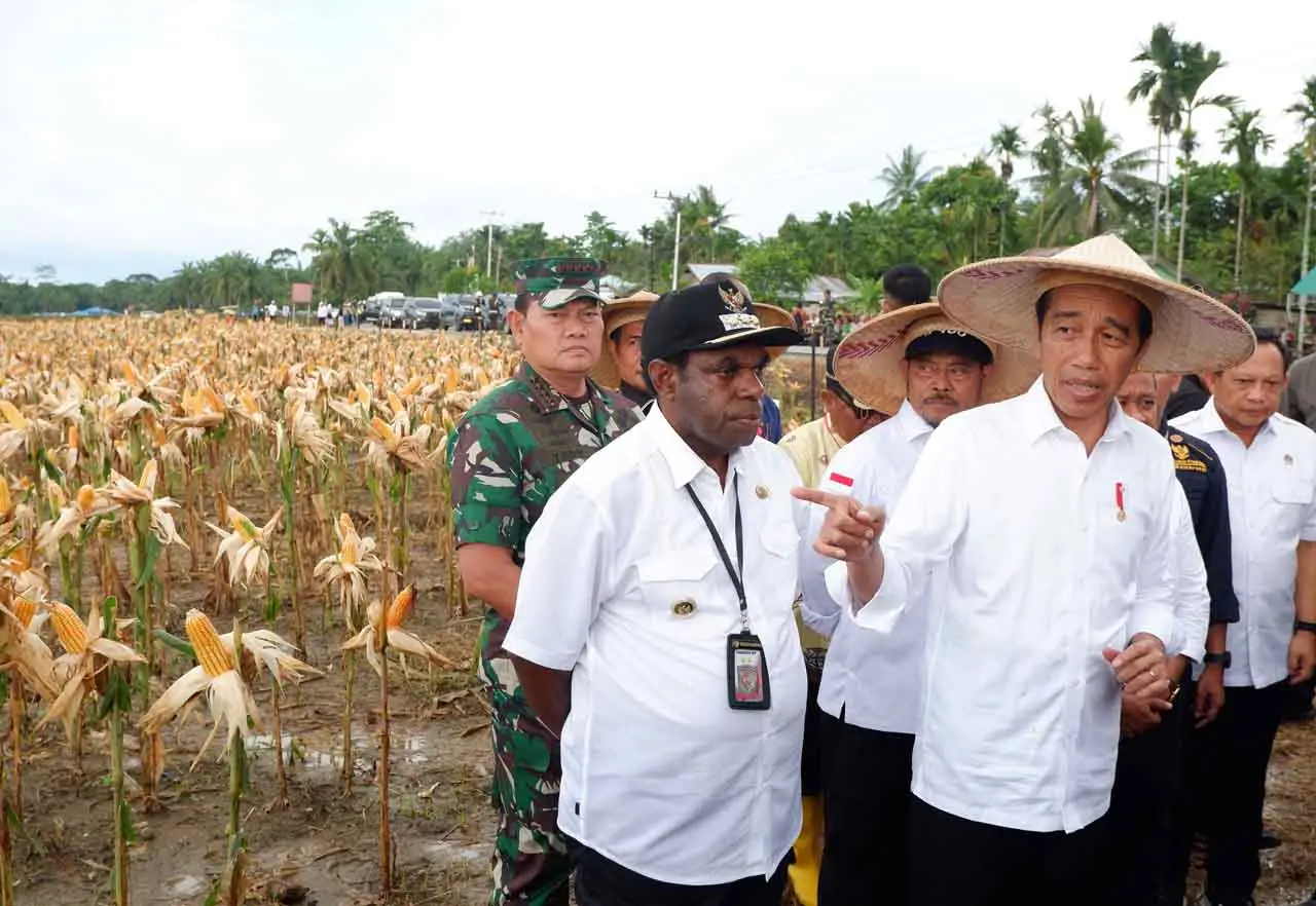 Presiden Panen Jagung...