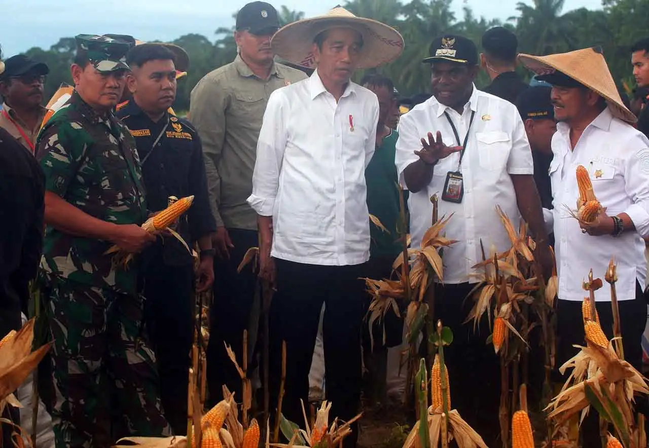 Presiden Panen Jagung...