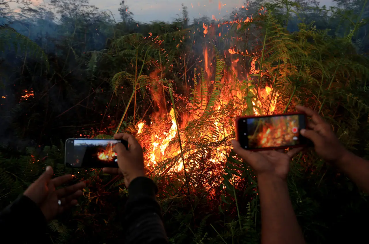 Kebakaran Hutan dan...
