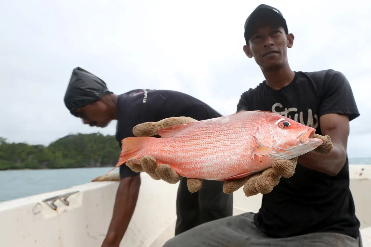 Penangkapan Ikan Ramah...
