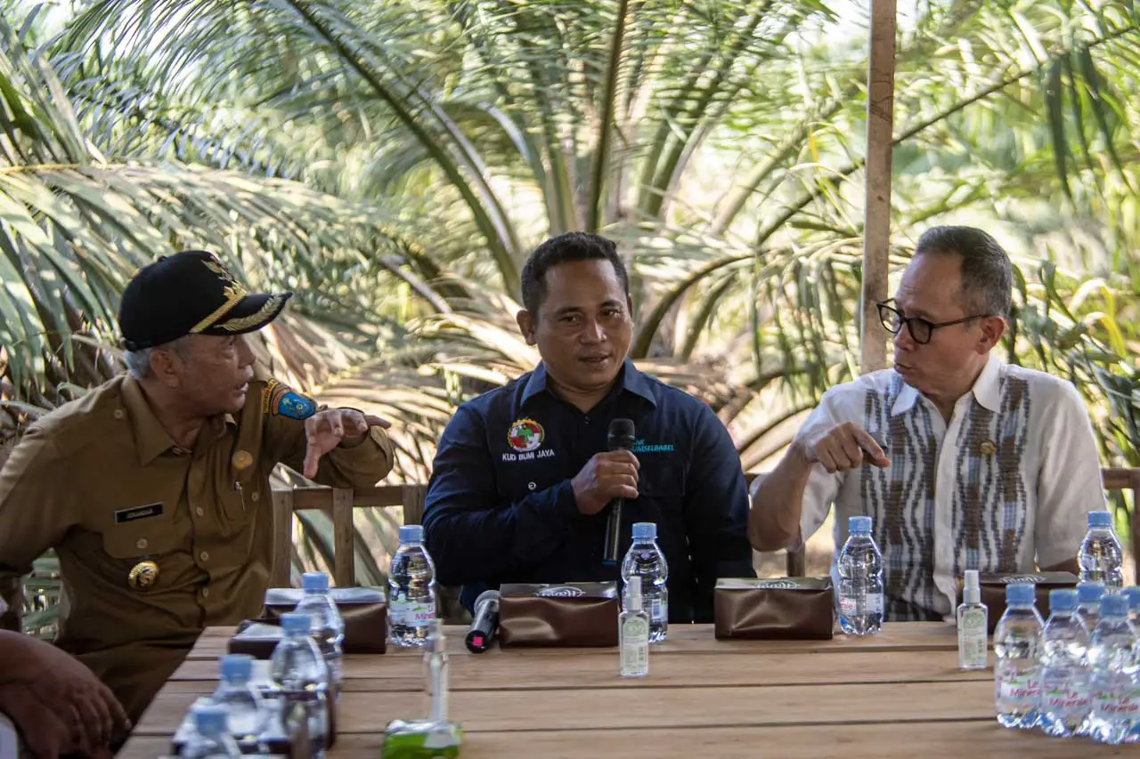 OJK Dukung Pembiayaan...