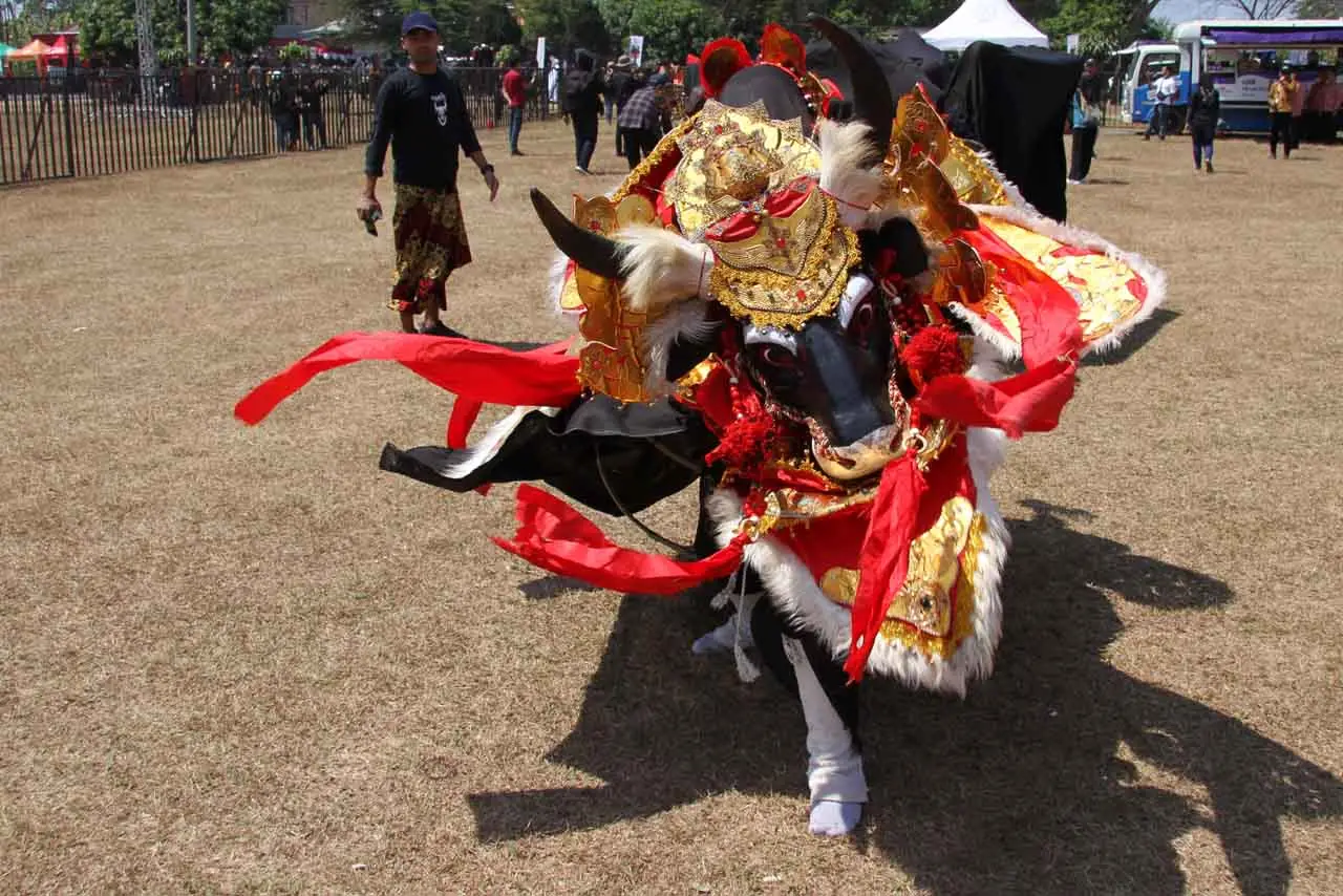 Pembukaan Majafest 2023...
