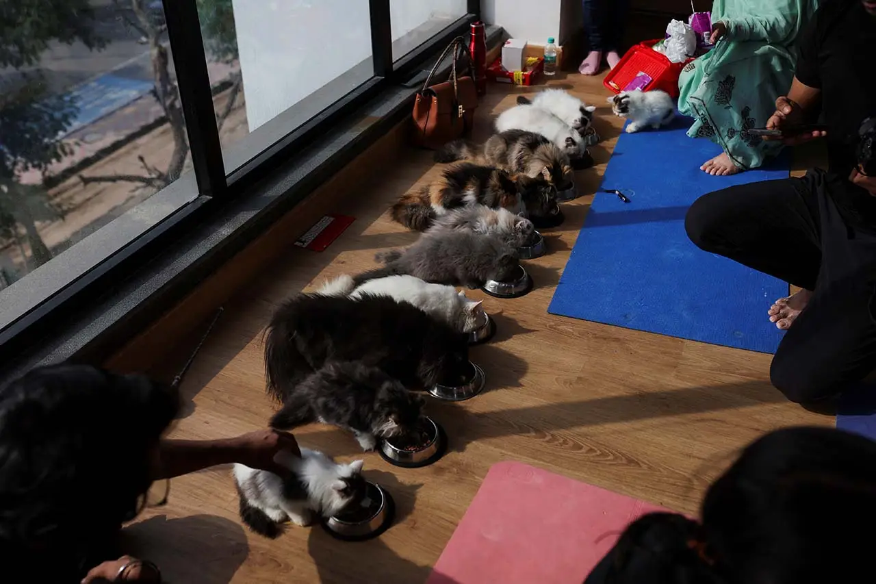 Yoga Sambil Pandangi...