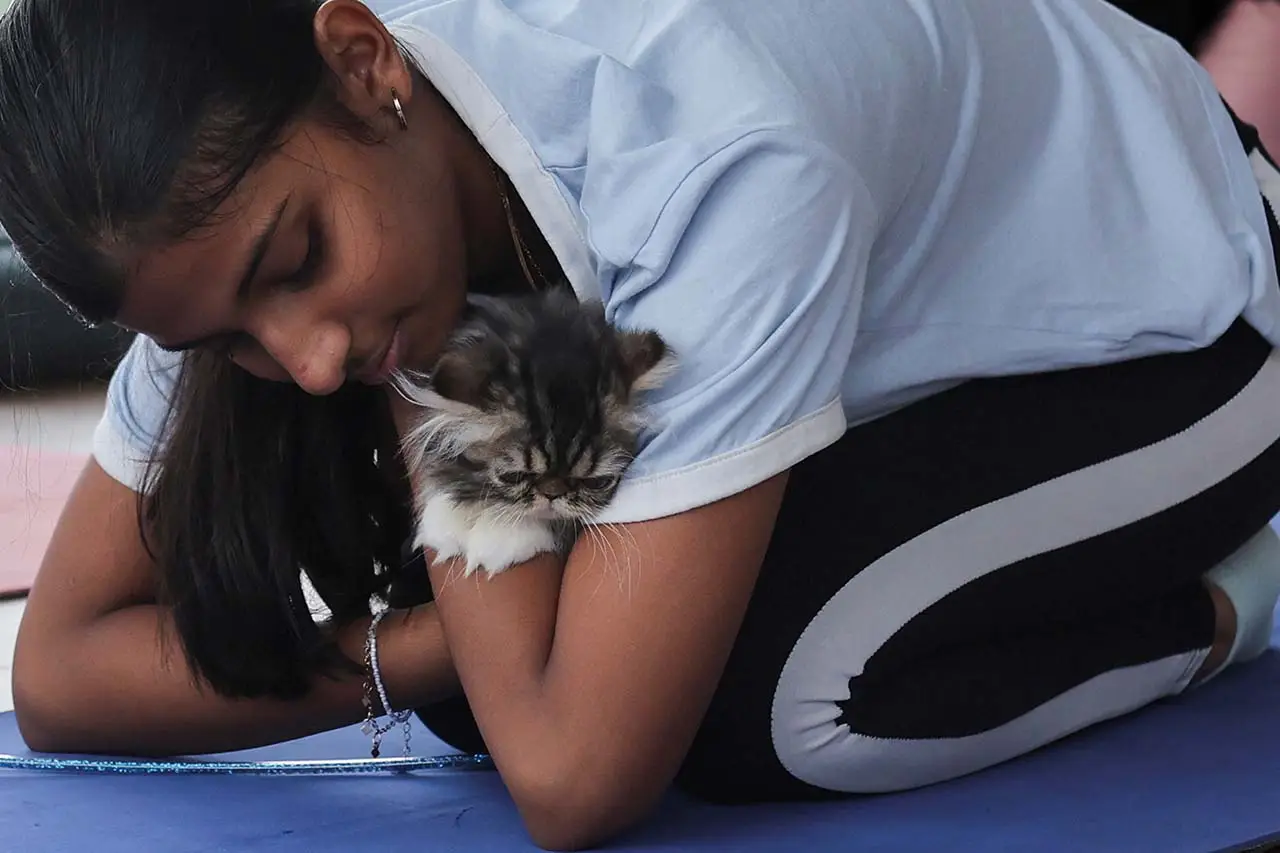 Yoga Sambil Pandangi...