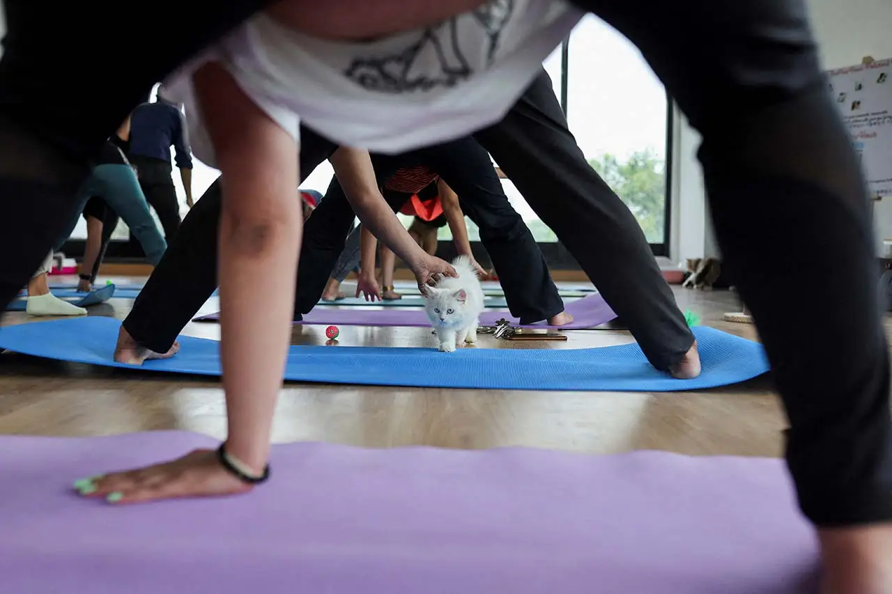 Yoga Sambil Pandangi...