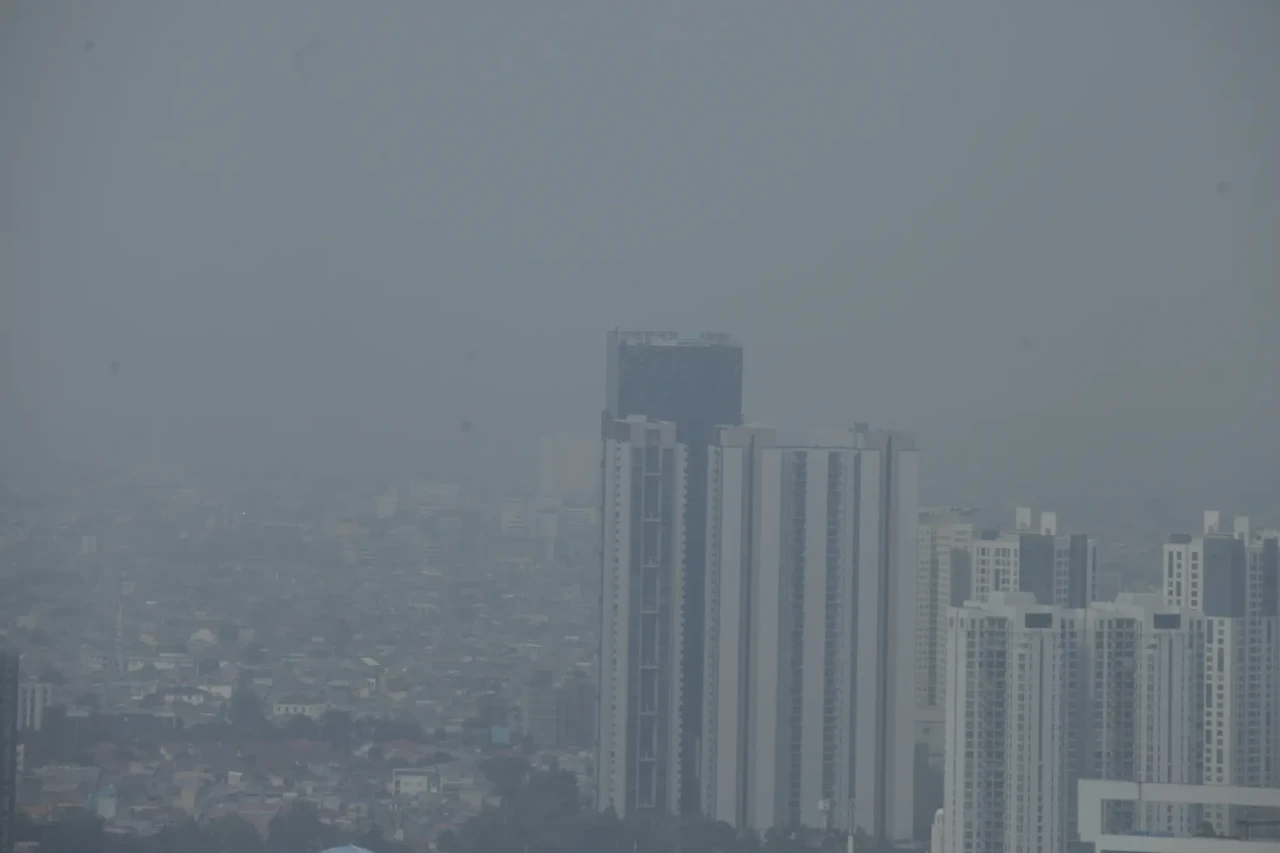 Ngeri! Begini Penampakan...