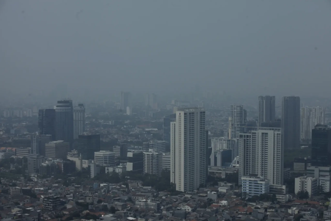 Ngeri! Begini Penampakan...