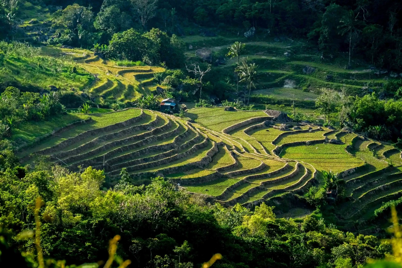 Pesona Wisata Padang...