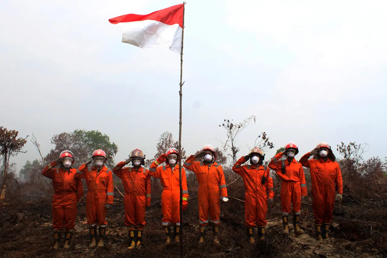 Greenpeace Indonesia...