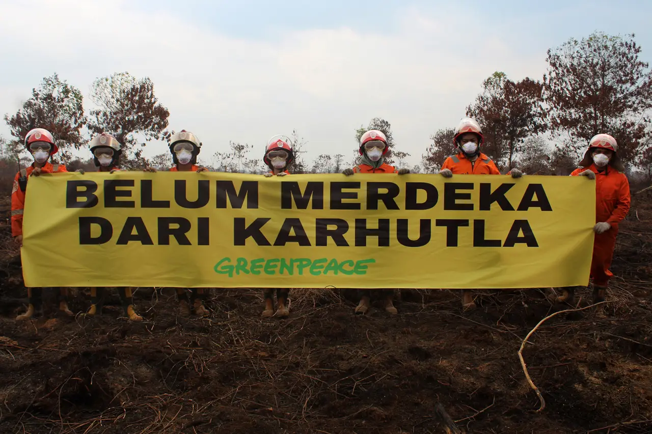Greenpeace Indonesia...