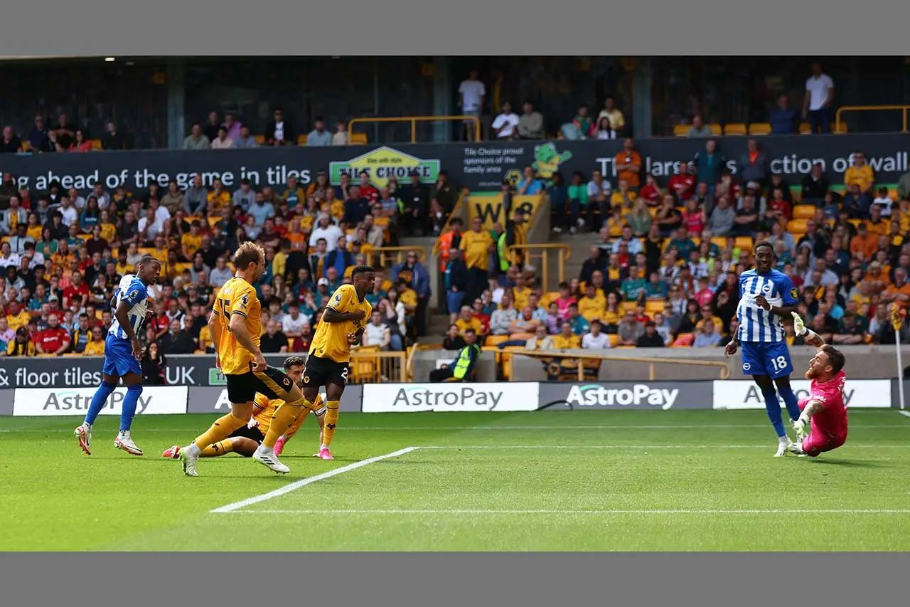 Solly March Brace, Brighton...