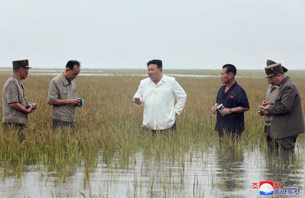 Potret Blusukan Kim...