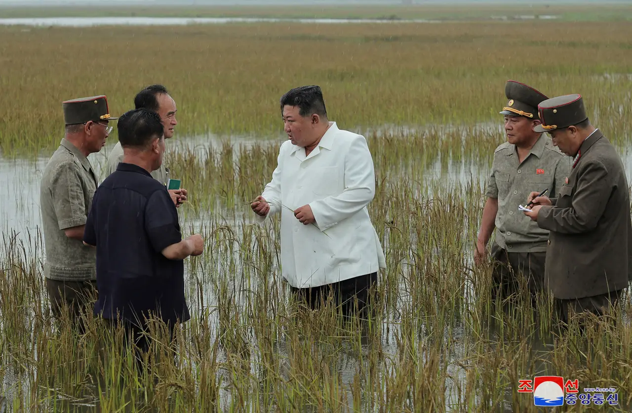 Potret Blusukan Kim...