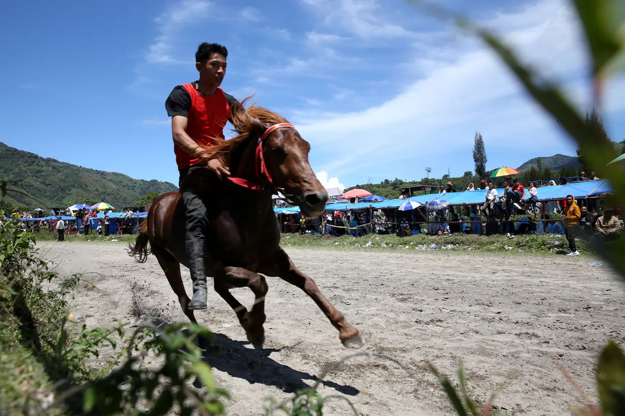Pacuan Kuda Tradisional...