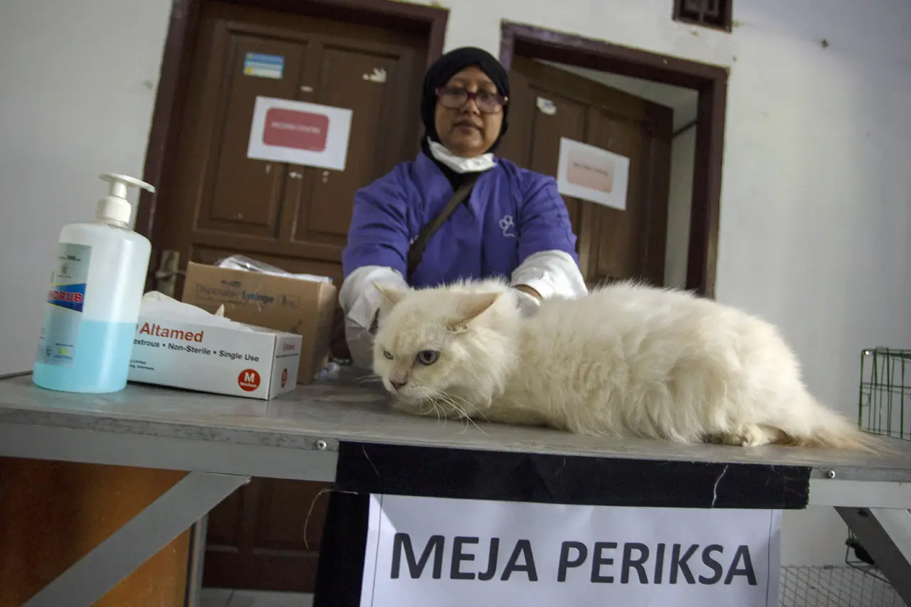 Vaksin Rabies Gratis...