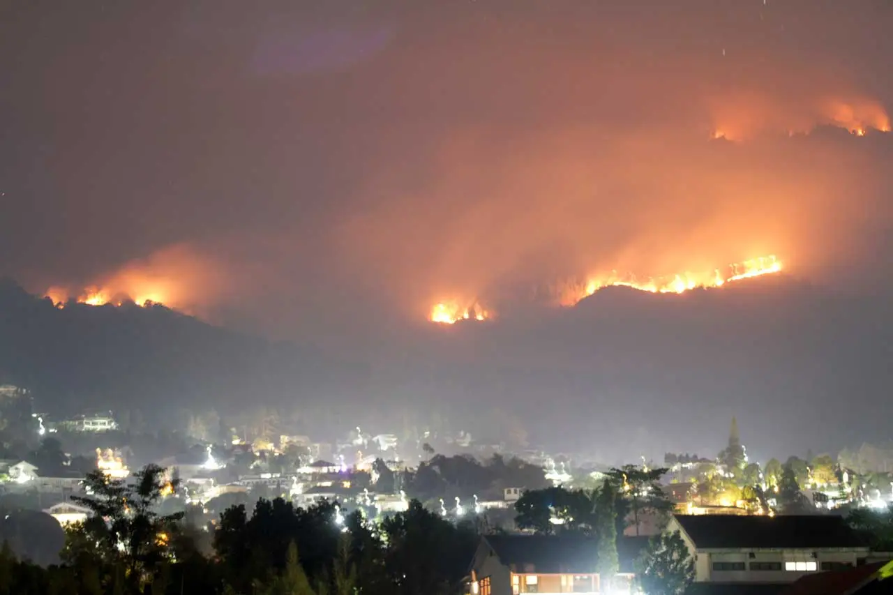 Kebakaran di Gunung...