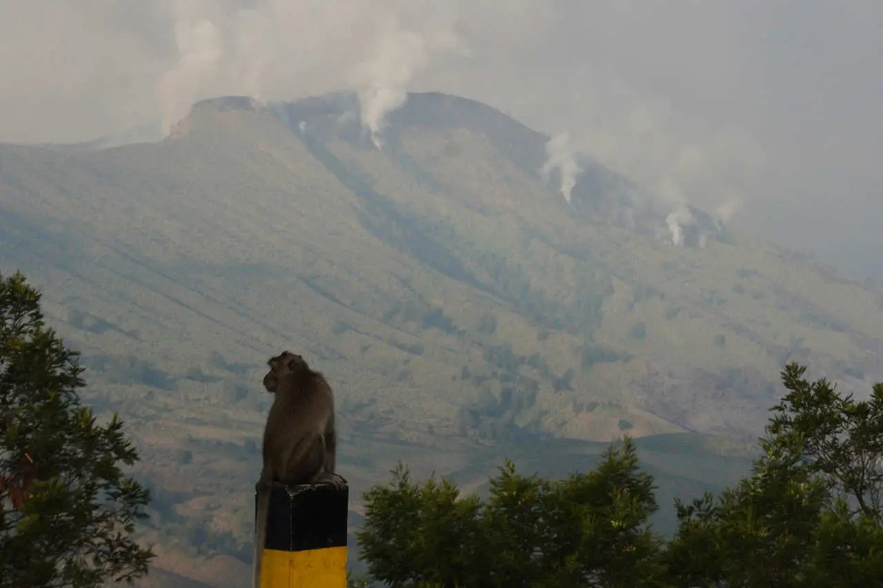 Kebakaran Meluas, Kawasan...