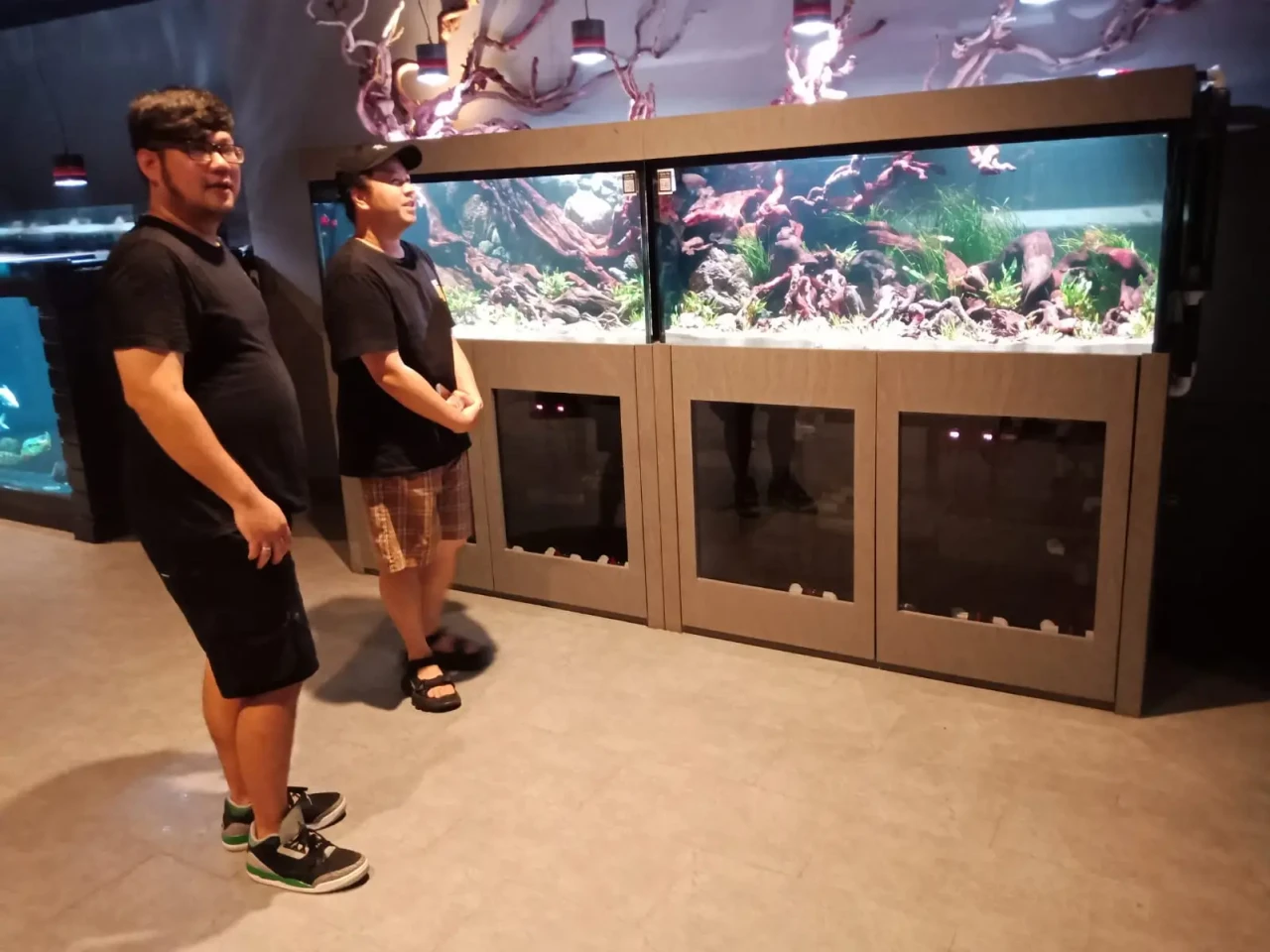 Dari Sebuah Hobi Ikan,...