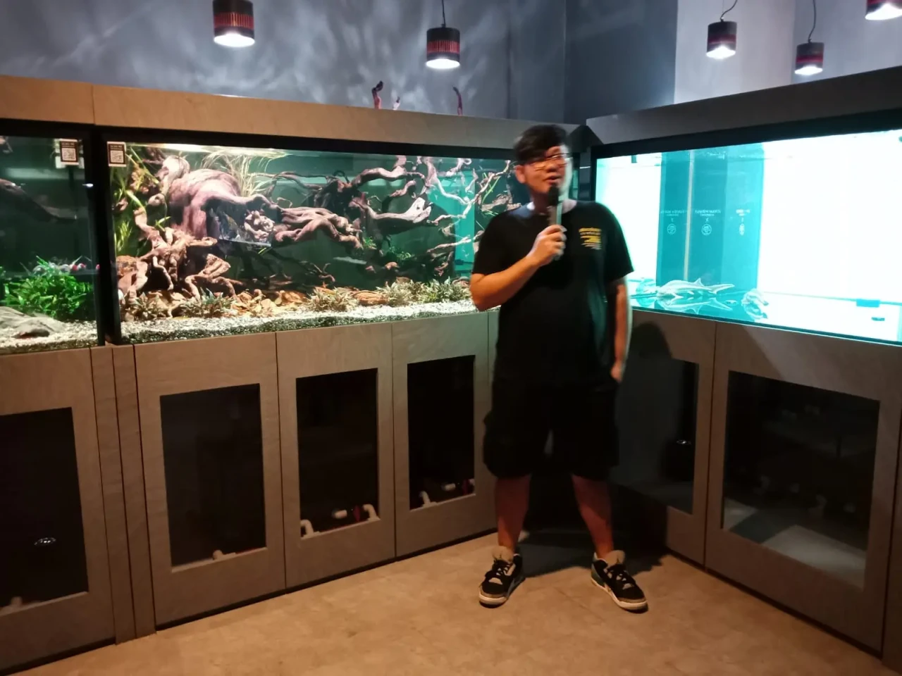 Dari Sebuah Hobi Ikan,...