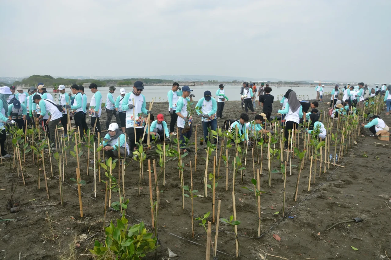 Pertamina Patra Niaga...