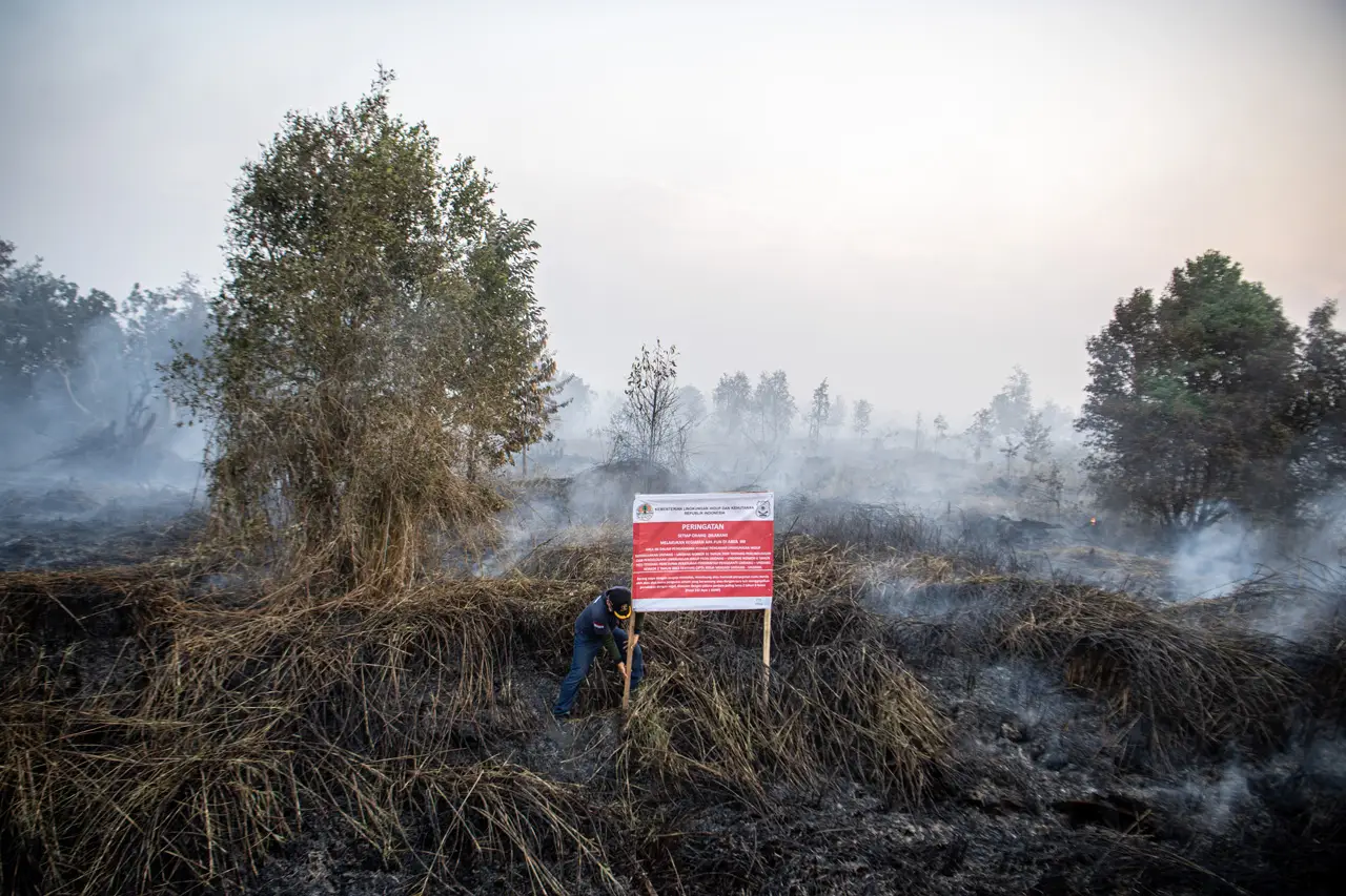 Penyegelan Lahan Terbakar...