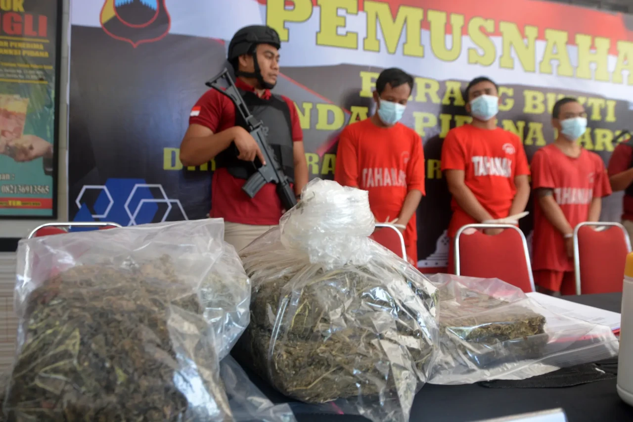 Polda Jateng Musnahkan...