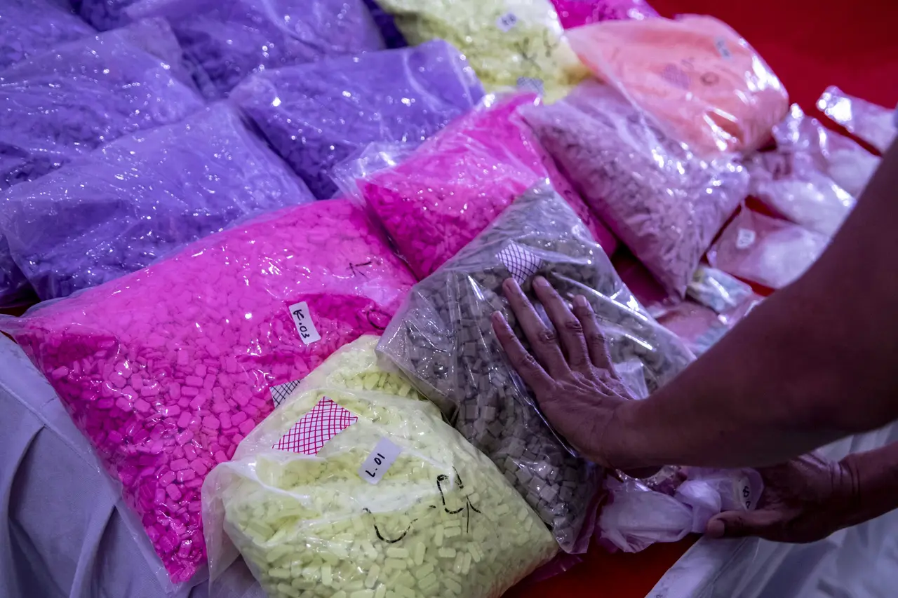 Pengungkapan Jaringan...
