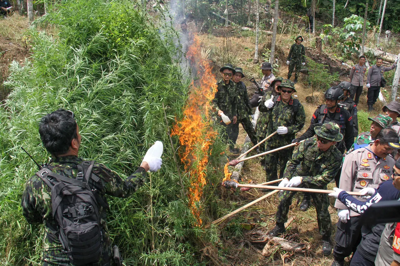 Operasi Pemusnahan 16,2...
