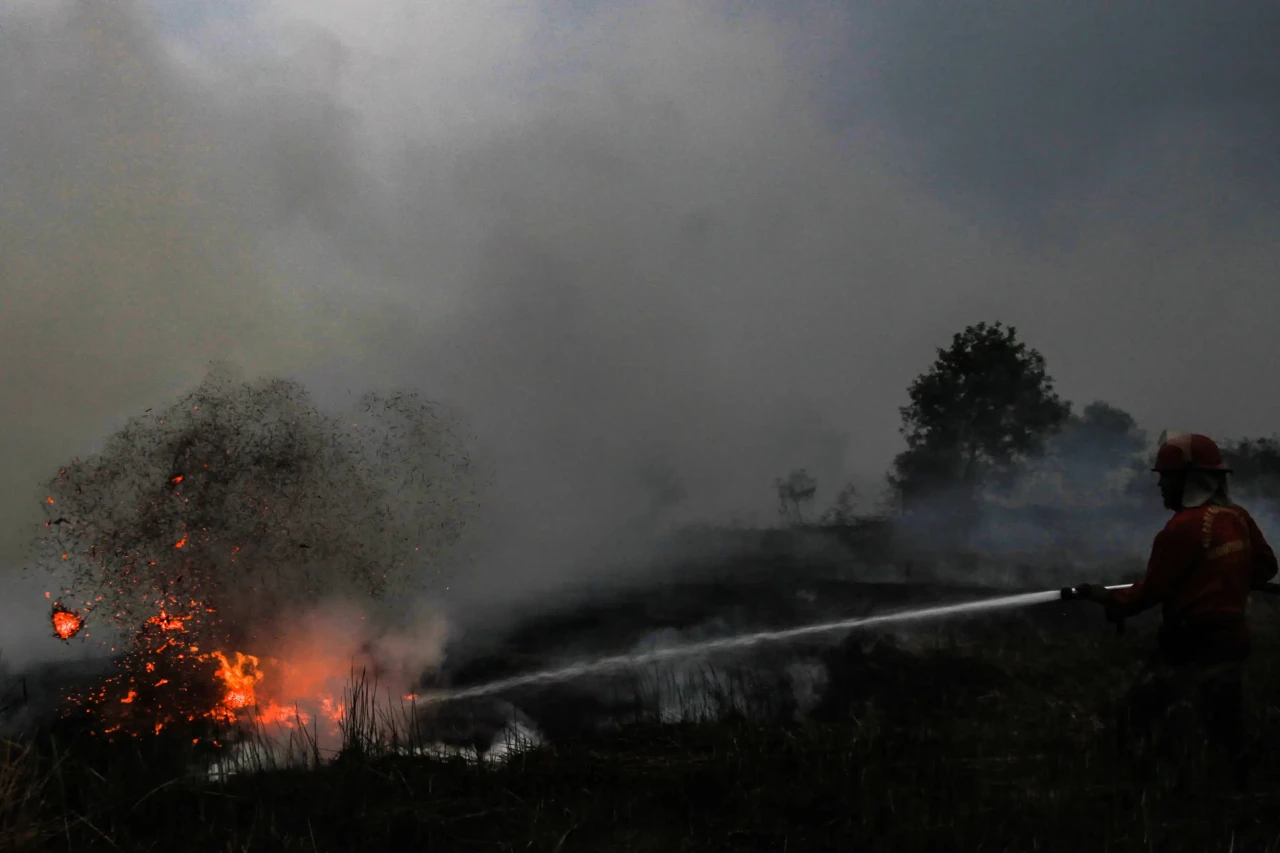 Kebakaran Lahan di Kawasan...