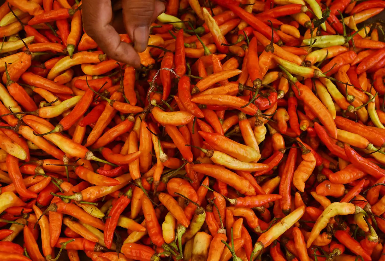 Harga Cabai di Madiun...