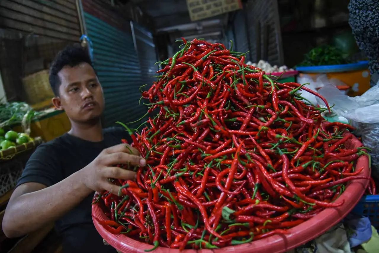 Kenaikan Harga Cabai...