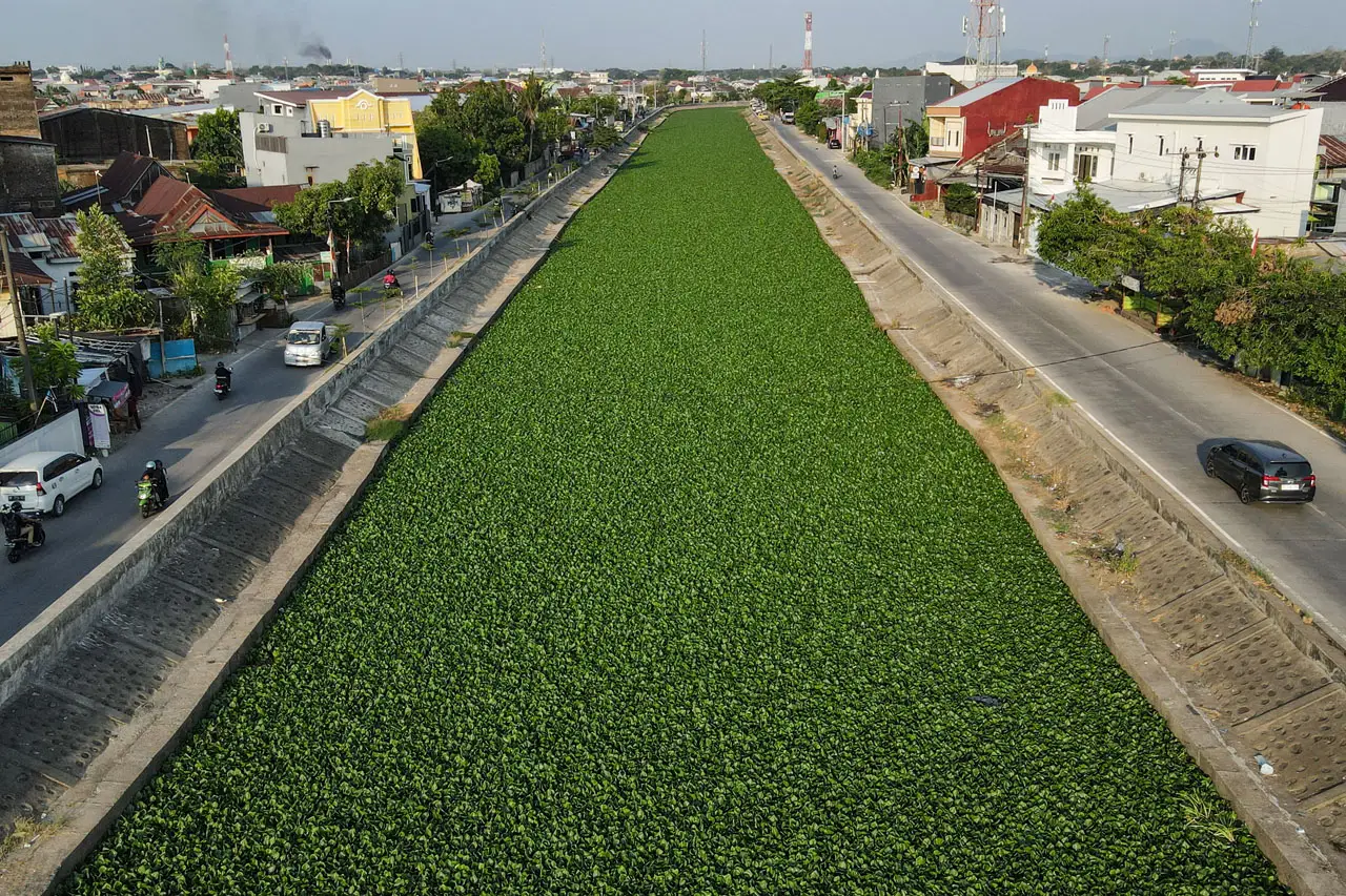 Kanal di Makassar Dipenuhi...