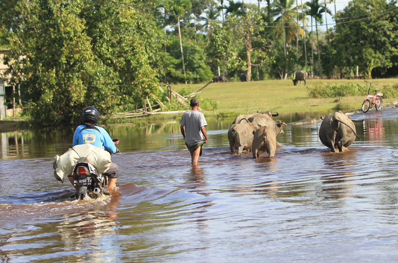 Banjir di Aceh Barat...