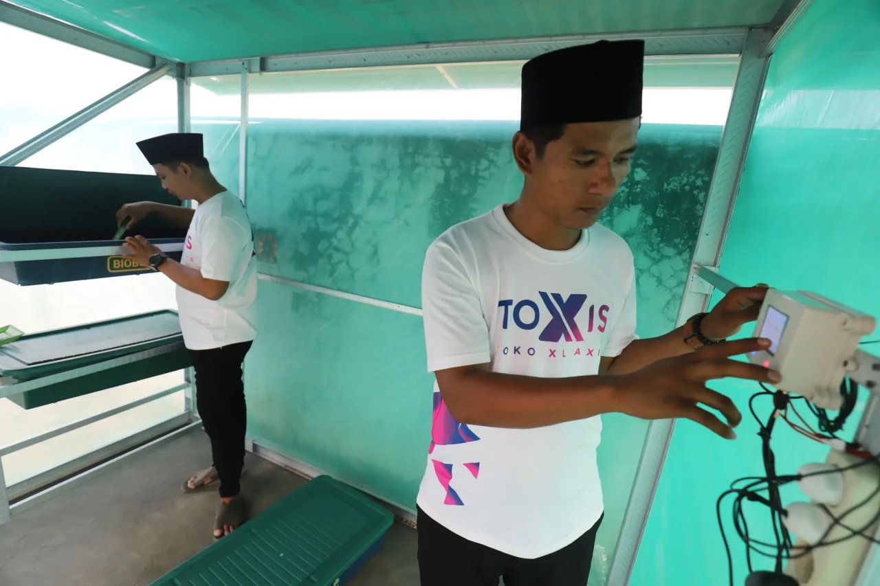 Budi Daya Maggot Berbasis...