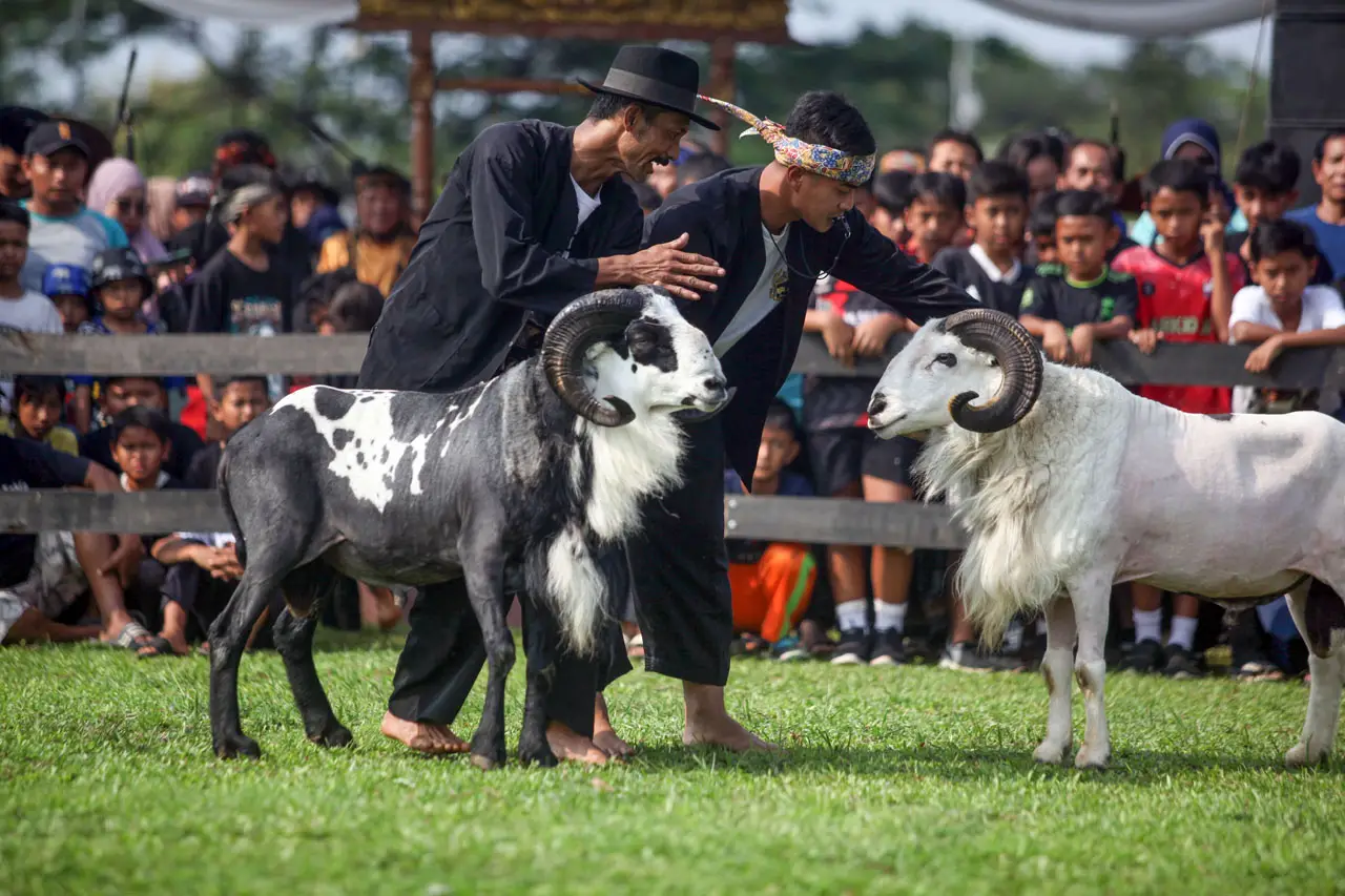 Festival Adu Ketangkasan...