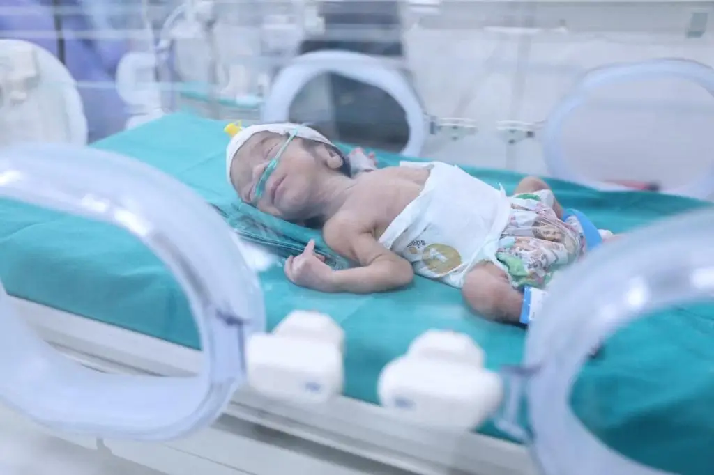 28 Bayi Prematur Palestina...
