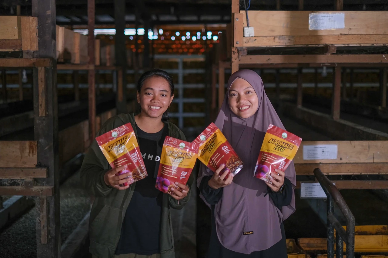 Mengolah Sampah Organik...