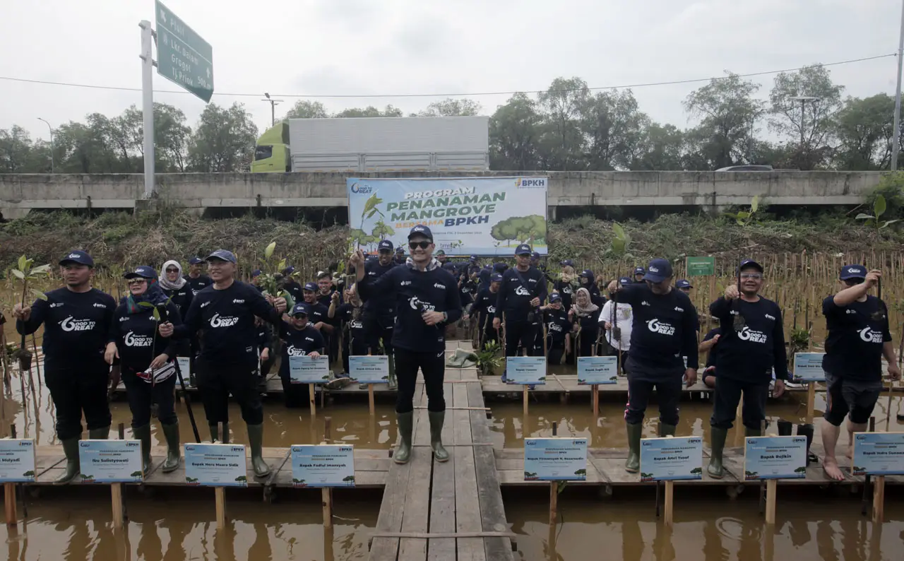 Tanam Ratusan Mangrove,...