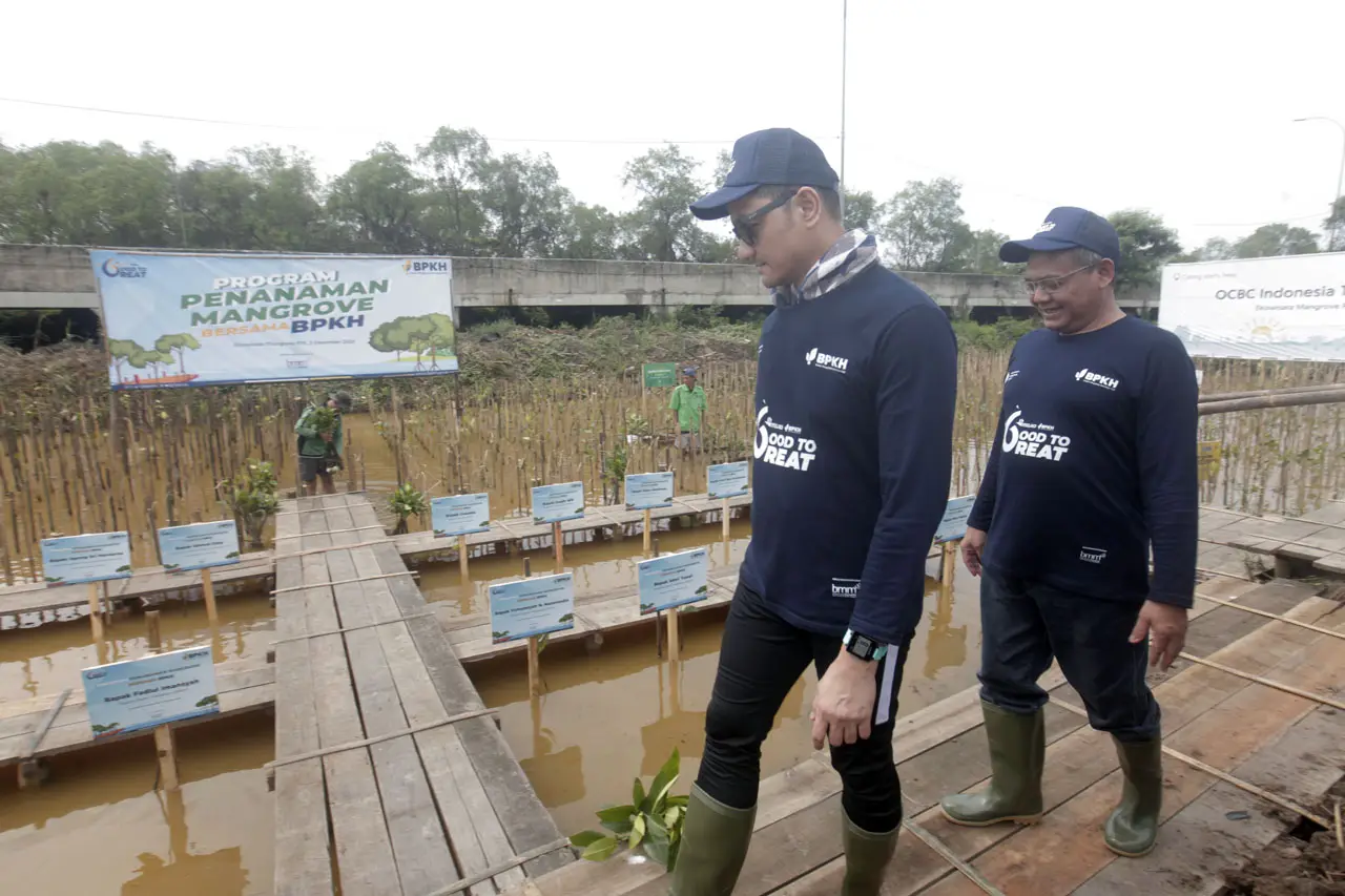 Tanam Ratusan Mangrove,...