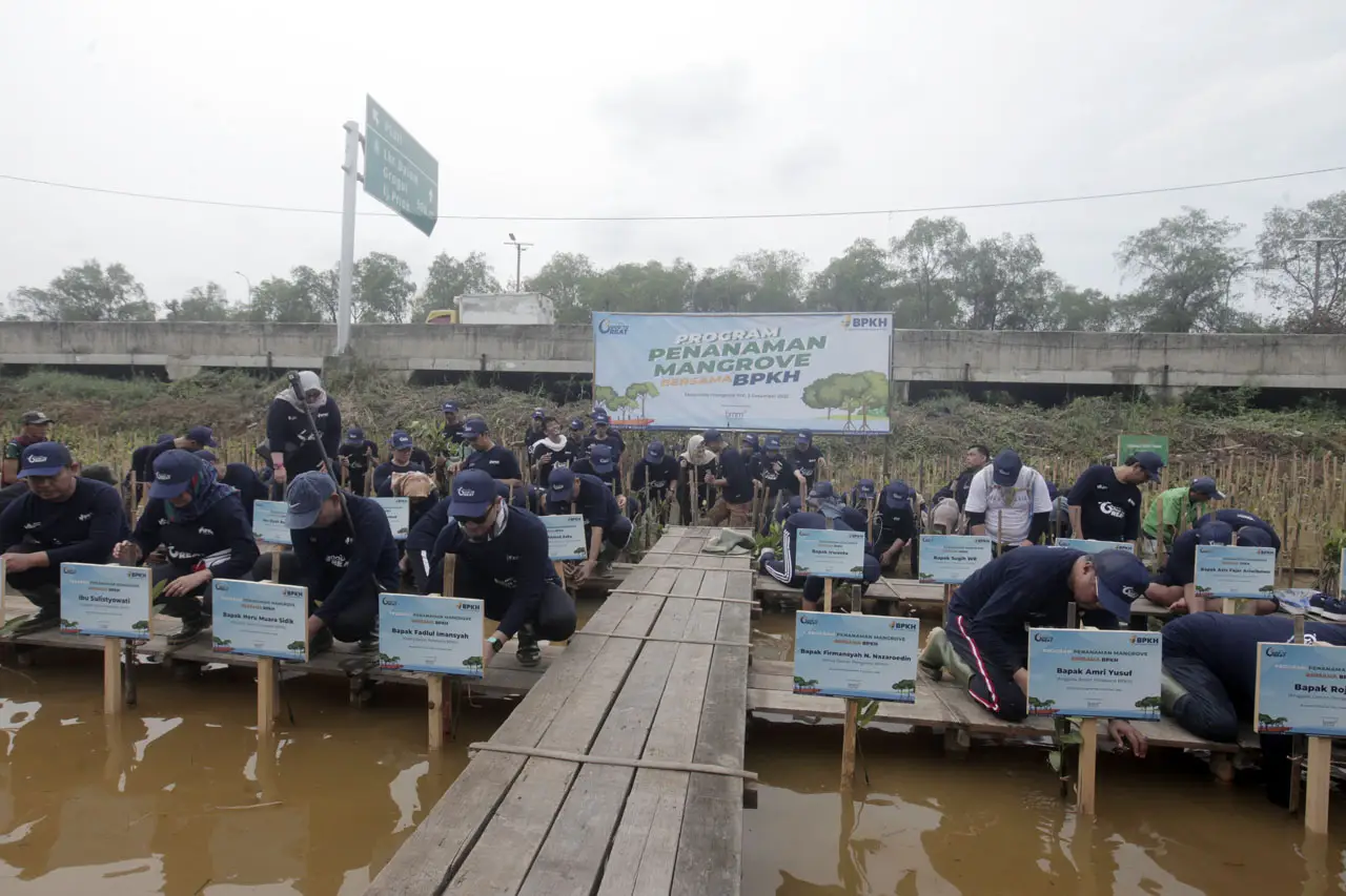 Tanam Ratusan Mangrove,...