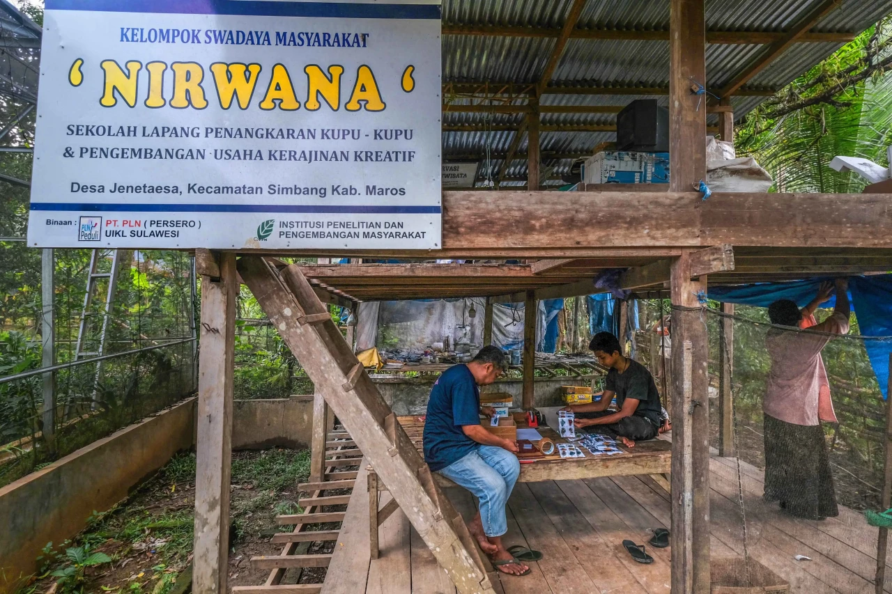 PLN Lestarikan Kupu-Kupu,...