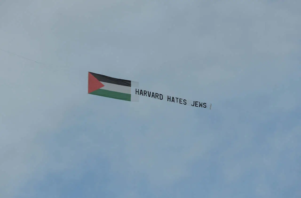 Pro-Palestina, Mahasiswa...