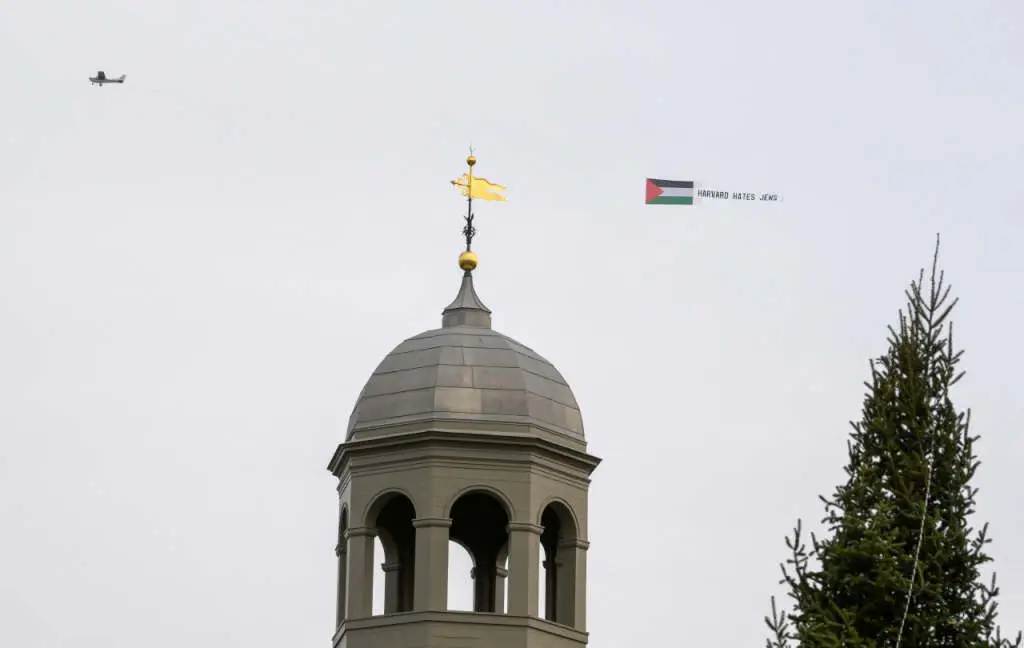 Pro-Palestina, Mahasiswa...