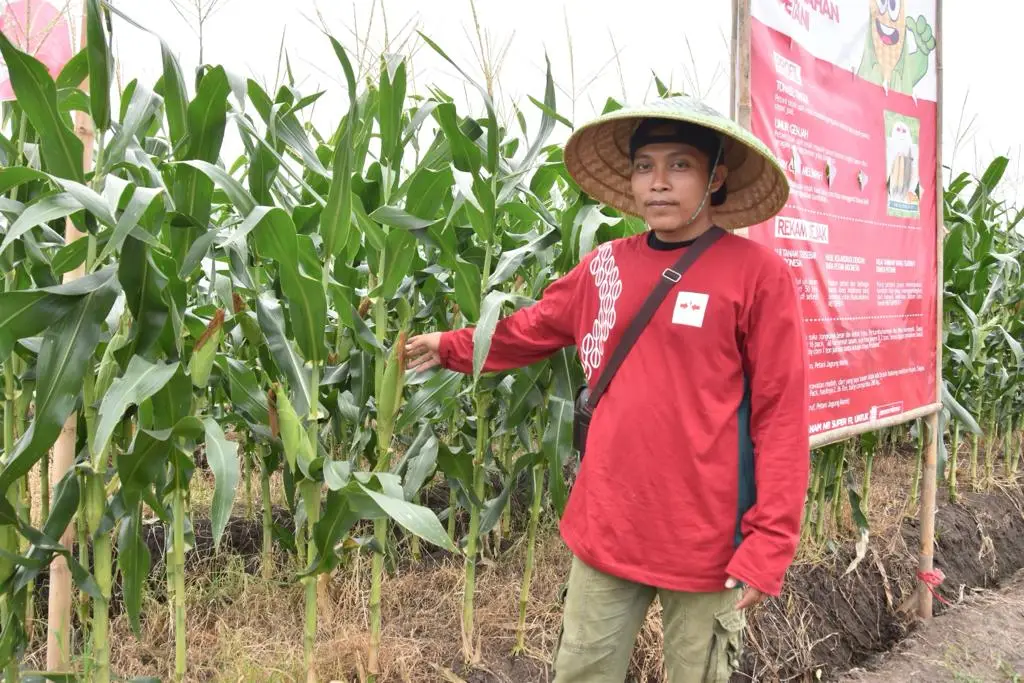 Jelang Pergantian Tahun,...
